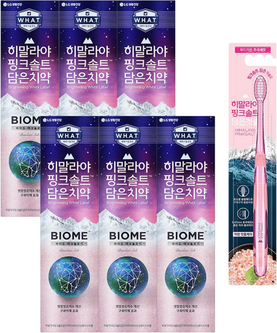 LG생활건강 히말라야핑크솔트 바이옴 치약 100g*6개+칫솔 1입, 6개, 100g