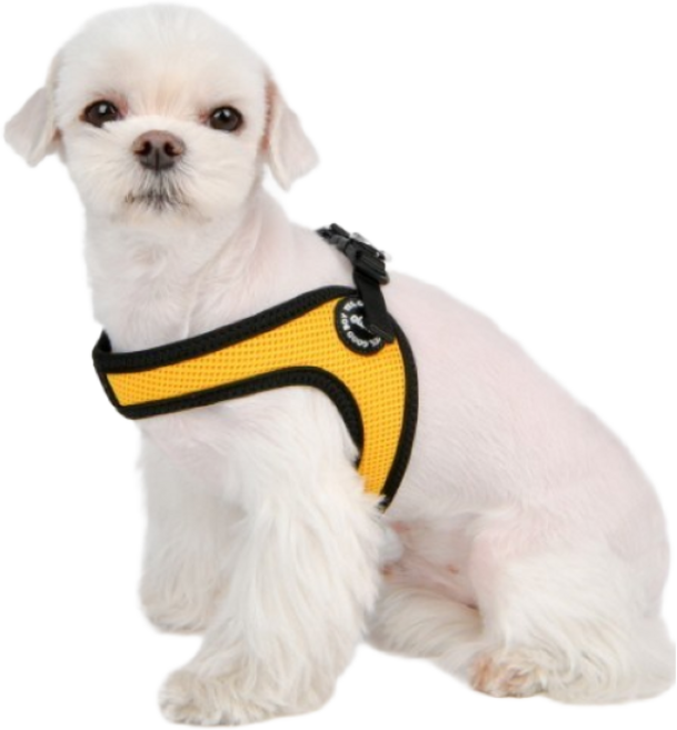 꾸러미세상 강아지하네스 올치 콤비 V type 강아지목줄 대용 야간 및 반사 기능 하네스 HV6046, 레드, 1개