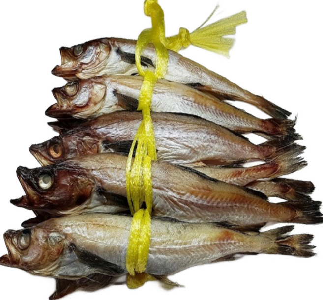 제일농수산 코다리 반건조코다리 역거리 명태, 1개, 중 10마리