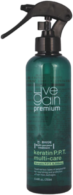 새한 리브겐 프리미엄 케라틴 PPT 멀티케어, 250ml, 1개