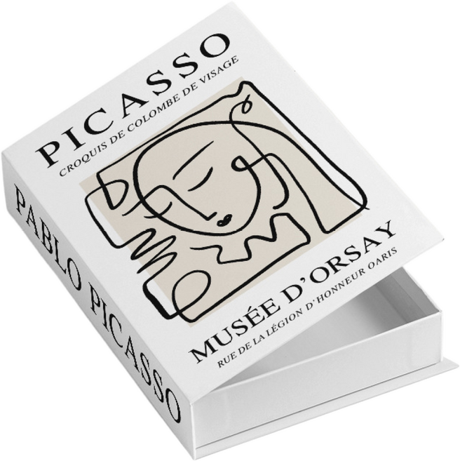 헤이띵스 모형책 수납함 리모컨 소품 정리함, C. 피카소