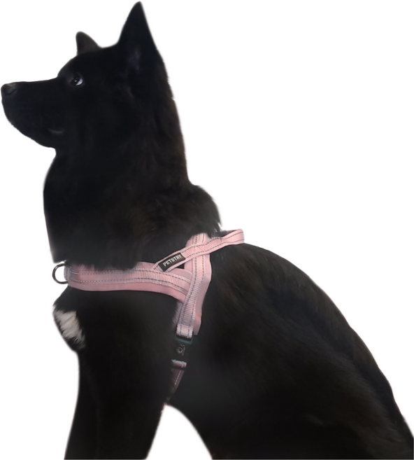 펫스츄리 강아지 앞섬방지 앞고리 에어쿠션 이지워크 하네스, 핑크, 1개