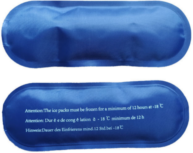끼더플러스 미니 아이스팩 반영구 재사용 아이스젤 인슐린 약품보관 보냉팩 19x7cm, 2개