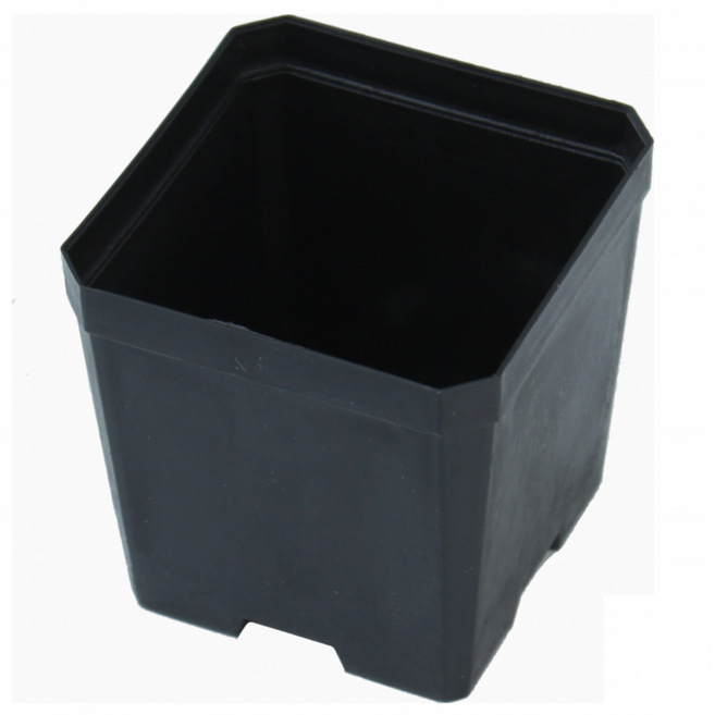 정사각 포트 7.5cm 다육이화분 플라스틱화분, 정사각포트