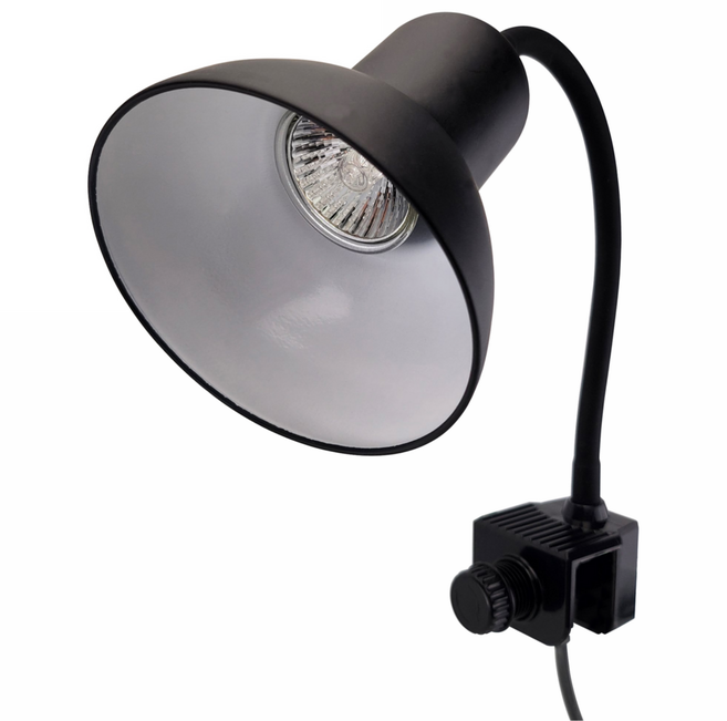 모비딕 안핑크 파충류 조명 M, 블랙, 1개