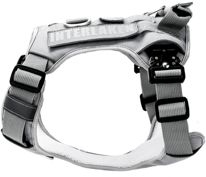 인터라켄커스텀 중형견 대형견 강아지 하네스, 그레이, 1개