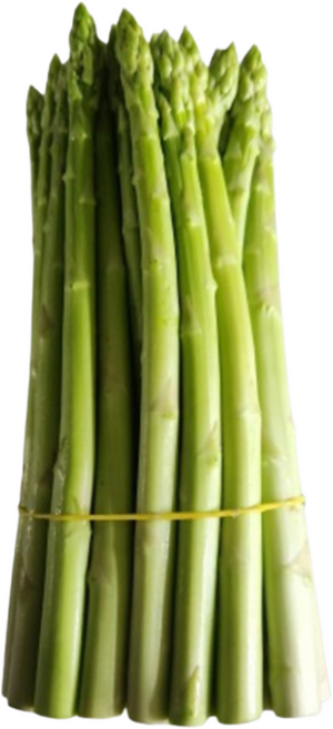 강원도 양구 아스파라거스 1kg 사이즈(2번~5번만 랜덤발송)별 판매, 1개