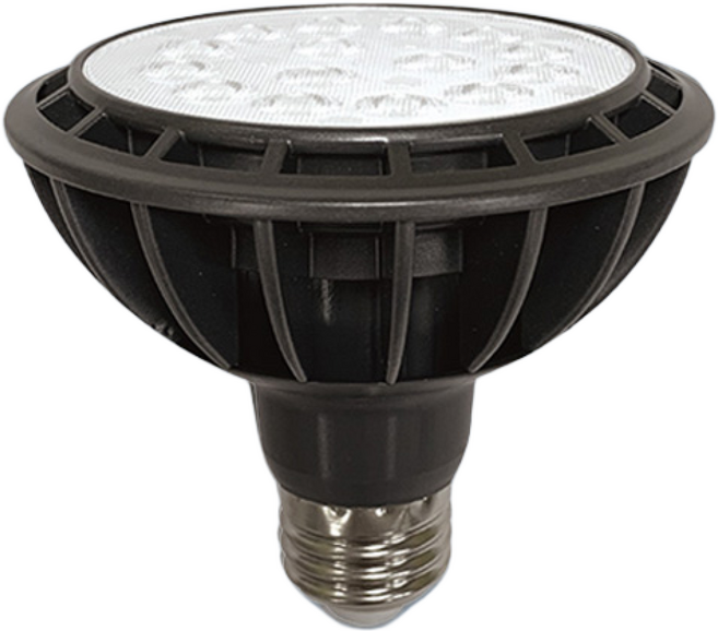 장수램프 PAR30 집중형 LED전구 15W, 주광색, 10개