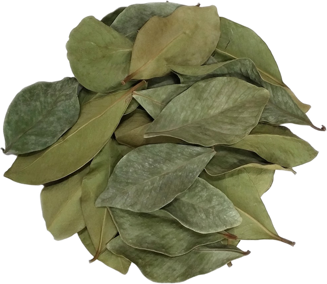 건조 말린 구아바잎 300g, 1개