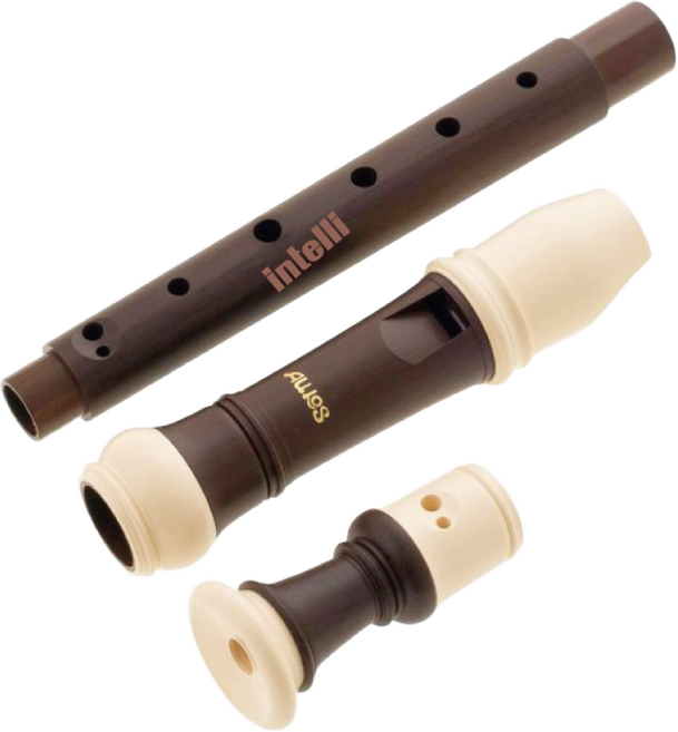 Aulos 아울로스 교육용 리코더 수행평가 필수템 702BW 저먼식, 1개, 나무무늬