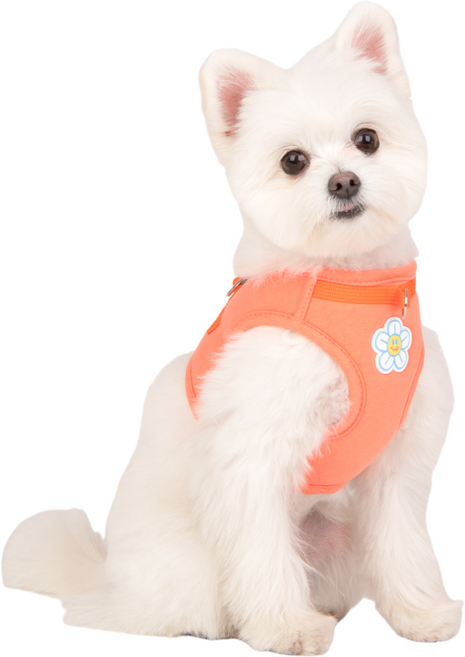 올치 강아지 에어메쉬 플라워 앞섬 방지 하네스 B형 VHB6249, 오렌지, 1개