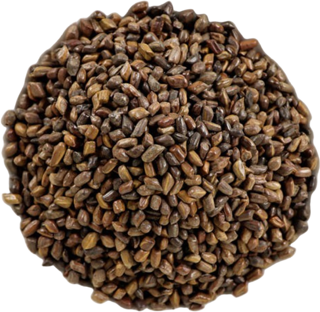 자연닮음 국산 결명자차 600g 결명차, 1개, 1개입