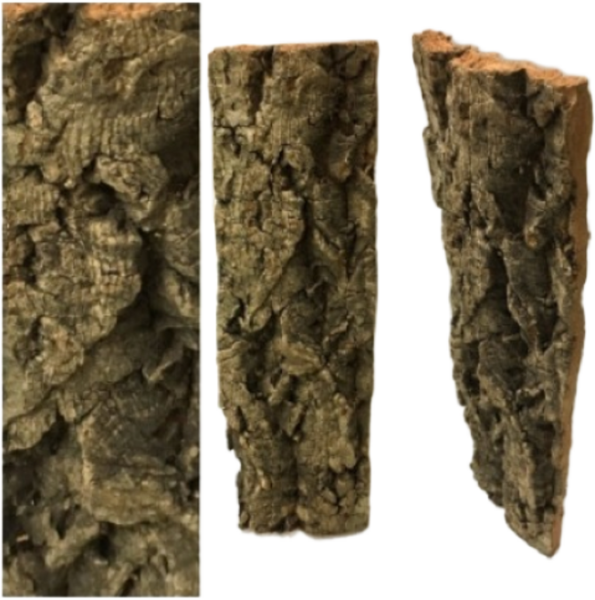 친환경 코르크보드 굴피껍질 가로4~7cm 세로15cm 30cm 45cm 60cm, 1개