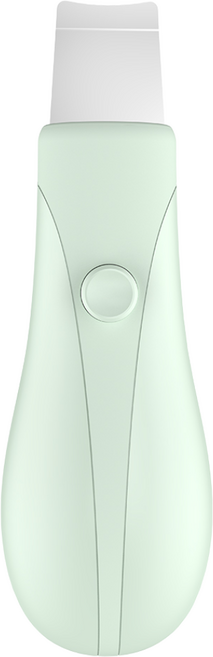 얼굴 피지 블랙헤드 제거기 각질관리기기, 그린