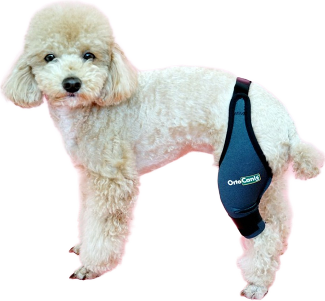 [미라이프] 오르토카니스 강아지슬개골보호대 동물용의료기기 십자인대 무릎 슬개골탈구 보호대 ORT003, 1개