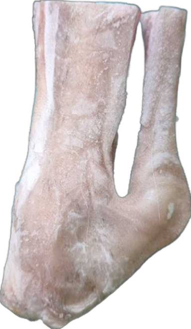 단단푸드 호주산 수입산 염소고기 냉동 수육 전골 식당납품 국물용 발목뼈 잡뼈 2kg, 1개