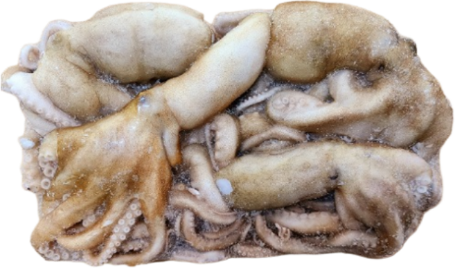 살아있는 상태로 급냉 시킨 활낙지 냉동 1kg 대 4마리, 1개