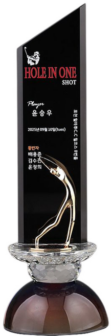 골프트로피 홀인원트로피 홀인원패 홀인원기념패 홀인원상패 싱글트로피 골프싱글패 싱글패 골프이글패 이글패 CR02-10/11, 1개, 골드