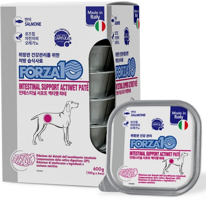 포르자10 독 인테스티널 주식캔 6입, 5개, 600g, 연어