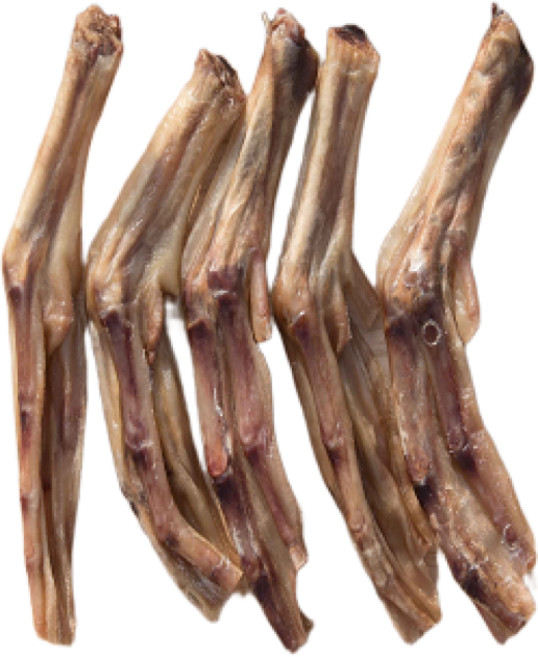 [파피앤덕 ]오리발 5p 강아지 수제간식 개껌 무방부제, 오리발 5p, 1개