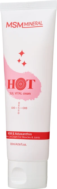 sul16 sul vital msm 미스미네랄 식이유황 엠이스엠 통증 개선, 1개, 1개입, 튜브형_hot 120ml - 쿠팡