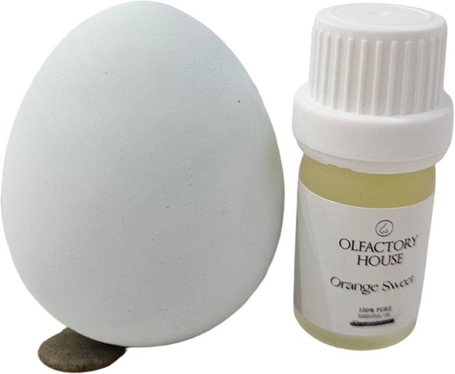 [유기농 에센셜 오일 증정] 에그프레쉬 냄새먹는 계란 냉장고 탈취제 습기제거제, 100g, 1개