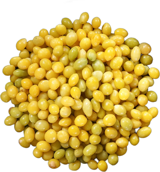 동광한방몰 국내산 공주 냉동 깐은행, 1kg, 1개