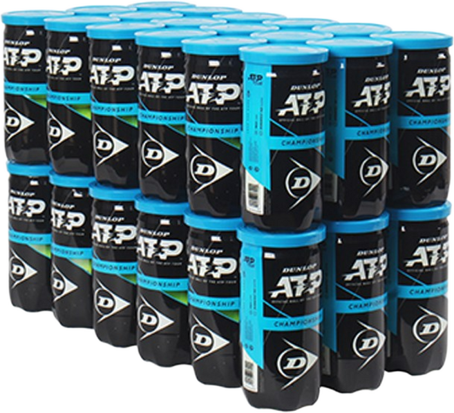 던롭 ATP 챔피언쉽 시합구 2볼 (36캔입) 스포츠 체육 운동 동호회 연습볼 ATP 공인구, 옐로우, 36개