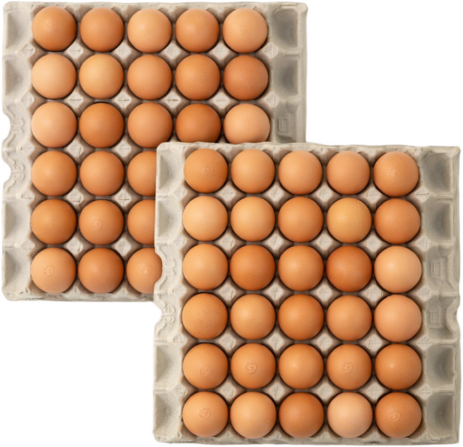 [HACCP인증] 국내산 맛고은 구운계란 (특란) 1개 60구