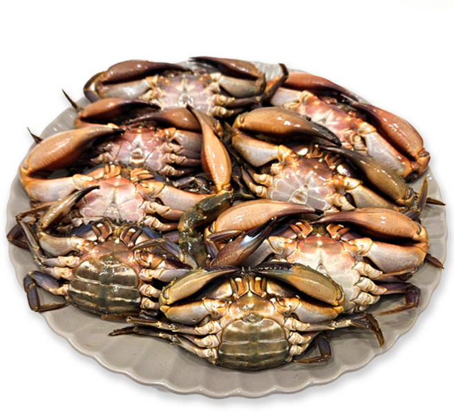 [주문폭주] 가성비 갑 100% 국내산 특급 심쿵 간장 돌게장, 2kg, 2개