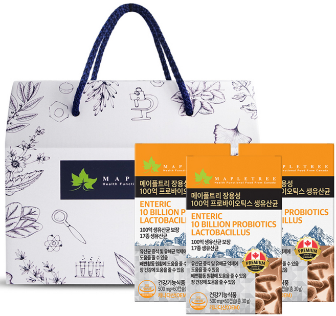 메이플트리 프로바이오틱스 100억유산균 10호세트, 3개, 60정