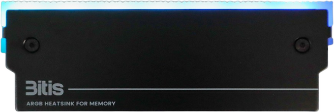 비티즈 DDR4 DDR5 메모리 램 방열판 히트싱크 P104 LED ARGB, 블랙, 2개