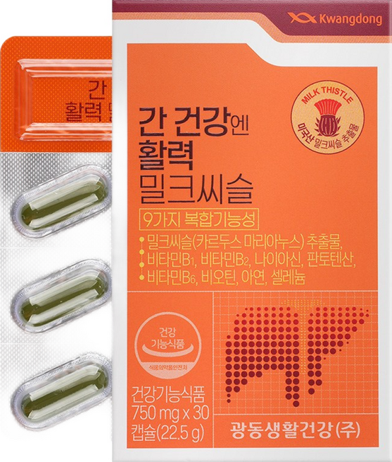 광동 간 건강엔 활력 밀크씨슬, 1개, 22.5g