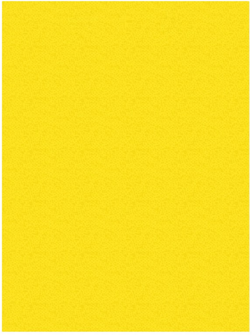 루프탑 초파리트랩 끈끈이 해충 벌레 트랩 20X25cm, 20개, 1세트