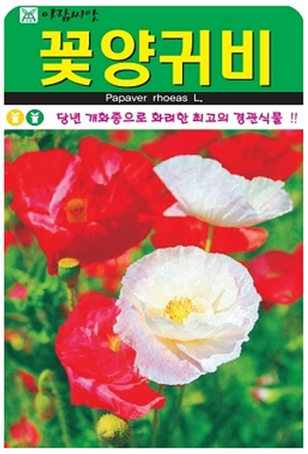 꽃양귀비 씨앗 야생화 종자, 1개