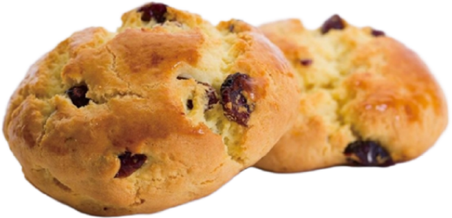 [업소용] 크랜베리 스콘 60g 1박스 240개입 4박스 베이킹 생지, 240개