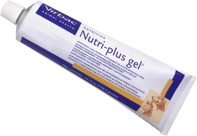 버박 뉴트리플러스겔 120.5g+국내산 수제간식 1종, 120.5g