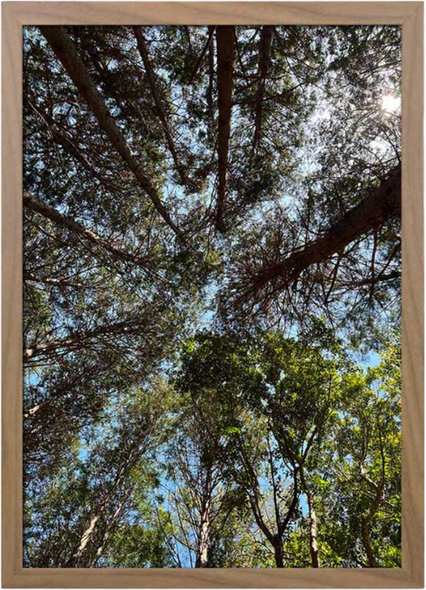 뉴클루 우드 인테리어 액자 A4 A3 A2 A1 5070 사이즈 포스터 정사각형 프레임, 우드 오크