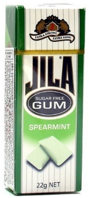 자일라 스피아민트 향 무설탕 껌, 22g, 1개