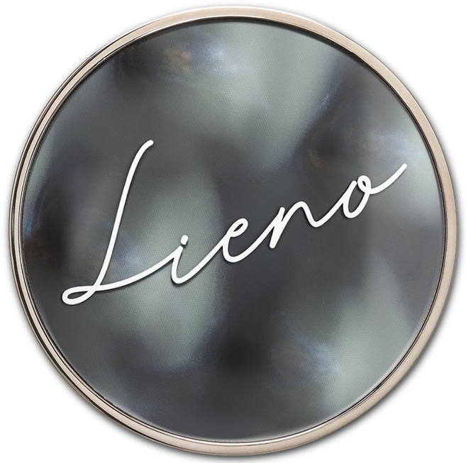 리에노 브이핏 커버 쿠션 23호 본품 블랙, 1개, 23호(블랙)