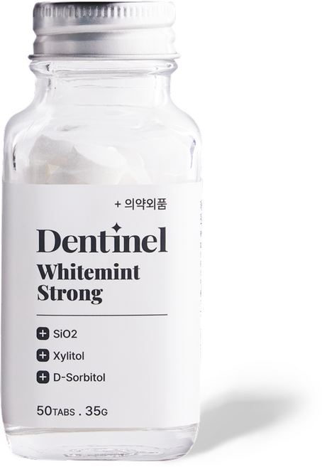 덴티넬 화이트민트 스트롱 고체치약 자일리톨 치아 미백, 1개, 35g