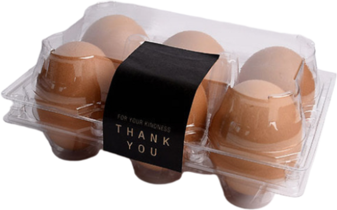 플라스틱 6구계란팩[특란/투명색/밀폐형], 100개