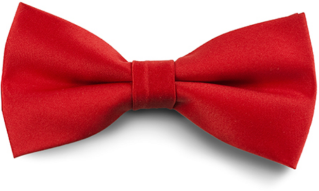 아동용 단체 행사 크리스마스 선물용 돌잔치 보타이 나비넥타이 단색 6컬러_CNV9001TO6