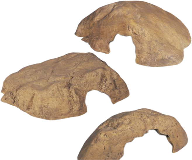 하겐 파충류 은신처 중, 1개