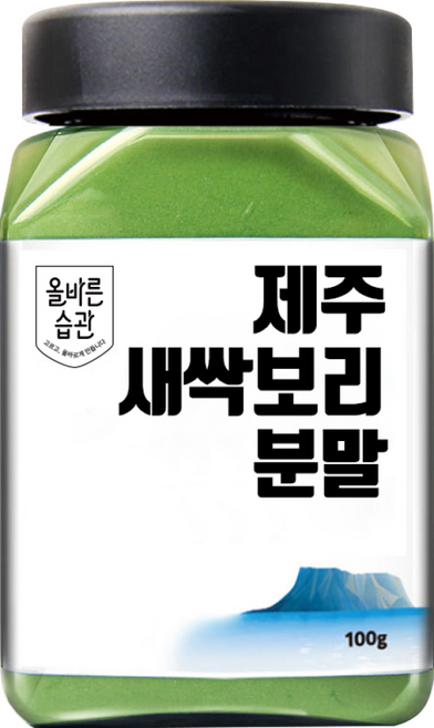 올바른습관 제주 무농약 새싹보리 분말, 100g, 1개