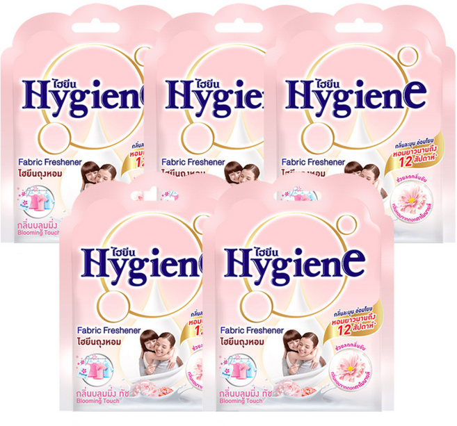 하이젠 옷장용 차량용 퍼퓸 방향제 블루밍 터치, 8g, 5개