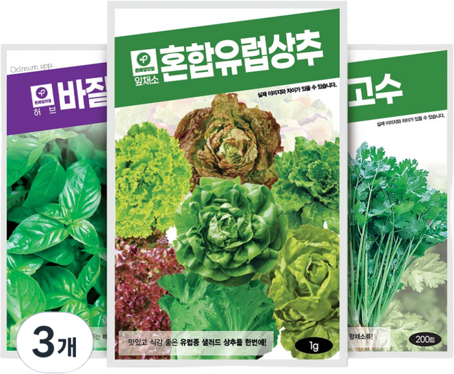 혼합유럽상추 바질 고수 씨앗 3종세트, 3개