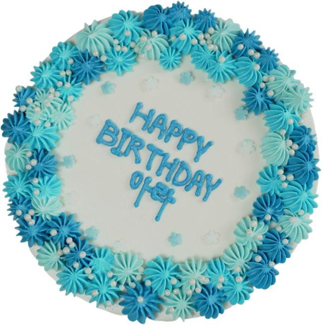 (평일 낮 12시전 주문 오늘출발) 케익팩토리 아쿠아블리스, 1개, 420g