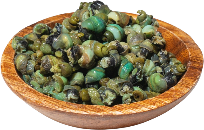 국내산 자연산 다슬기 특품 480g 강원도 홍천, 1박스