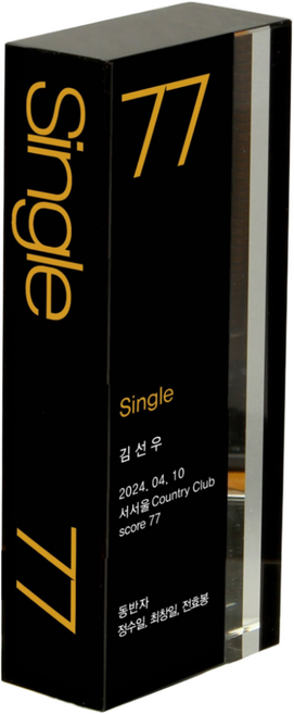 골프 트로피 싱글기념패 홀인원패 이글트로피, 1개, 선택11